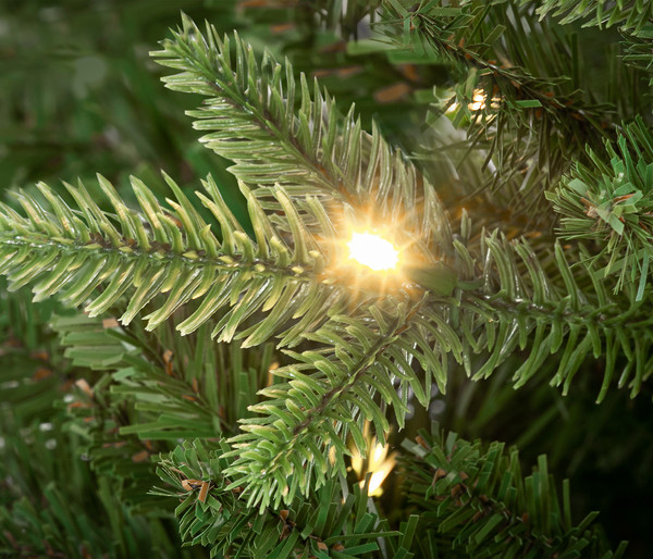 Dehner künstlicher LED-Weihnachtsbaum Espen, ca. H210 cm