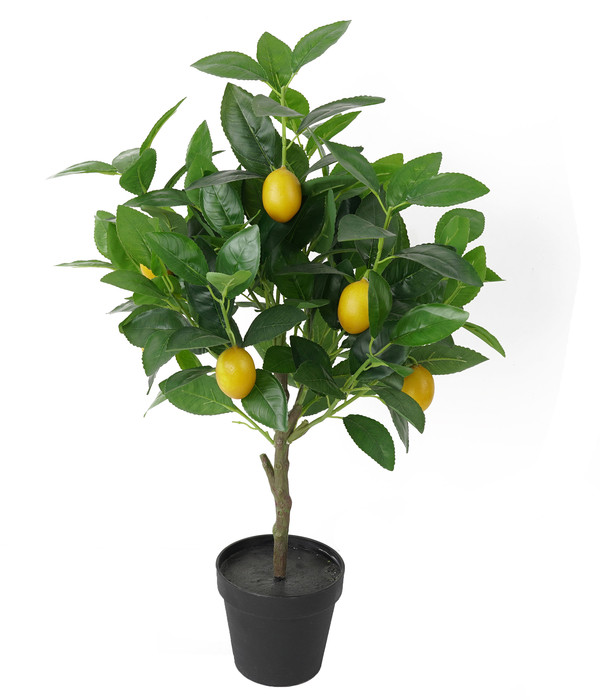 Dehner Kunstpflanze Zitronenbaum