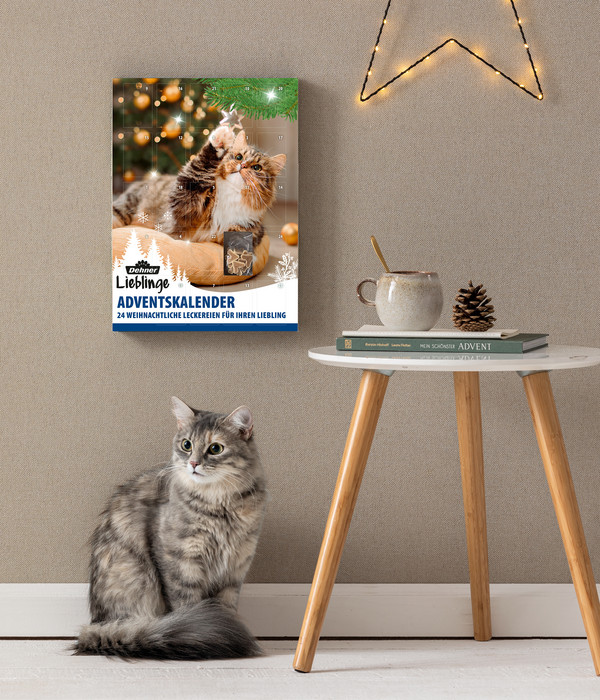 Dehner Lieblinge Adventskalender Katze