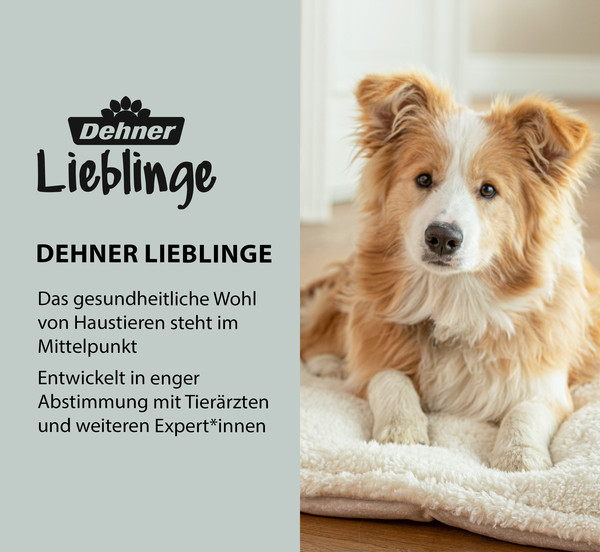 Dehner Lieblinge Floh- und Zeckenschutz Spot On für große Hunde, 4 x 2 ml