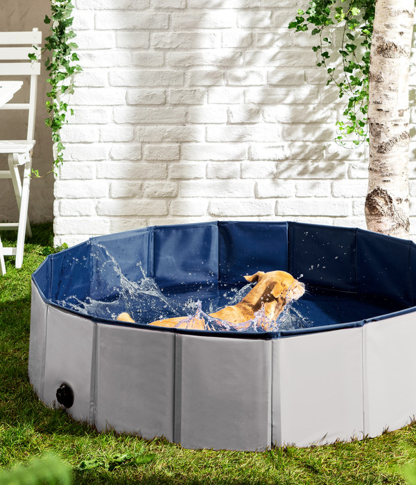 Dehner Lieblinge Hundepool Water Fun, ca. Ø120/H30 cm