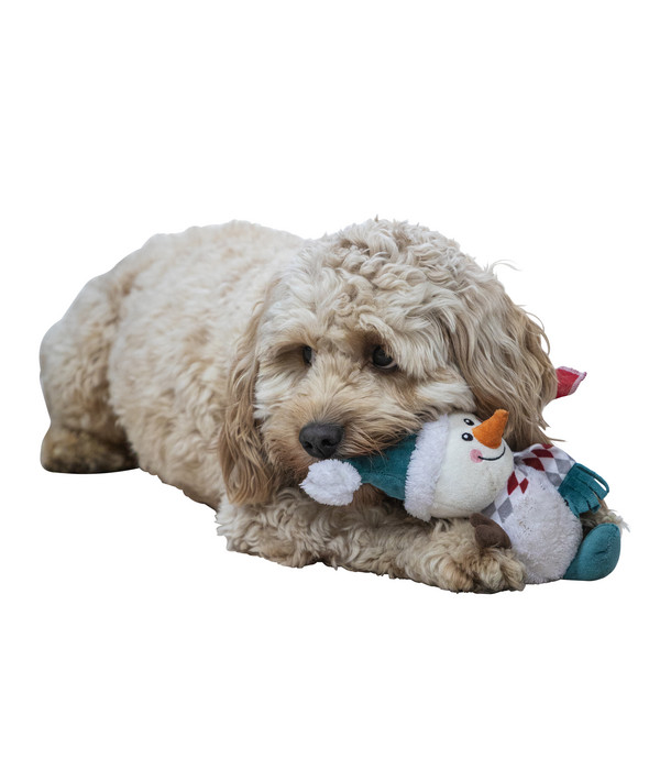 Dehner Lieblinge Hundespielzeug Snowman, ca. B16/H27/T6 cm