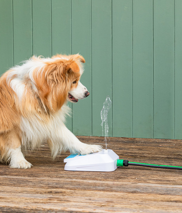 Dehner Lieblinge Hundespielzeug Wasserfontäne Sprinkler, ca. B28/H9/T22 cm