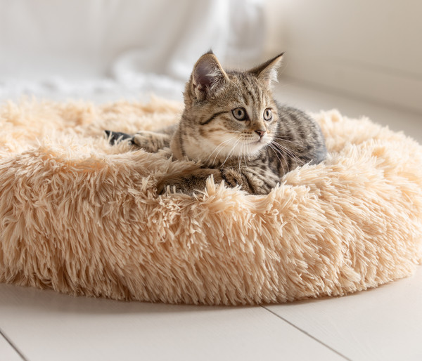 Dehner Lieblinge Kuschelbett Cookie, rund