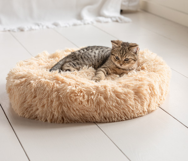 Dehner Lieblinge Kuschelbett Cookie, rund