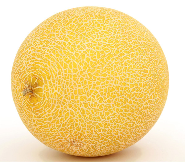 Dehner Melone 'Galia'