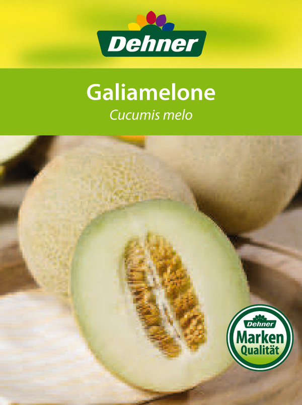 Dehner Melone 'Galia'