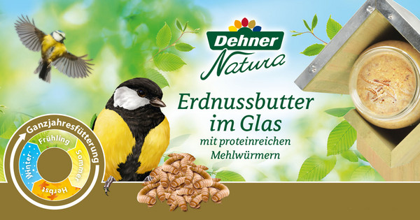 Dehner Natura Erdnussbutter im Glas, Mehlwürmer, 8 x 340 g