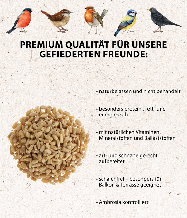 Dehner Natura Geschälte Sonnenblumenkerne