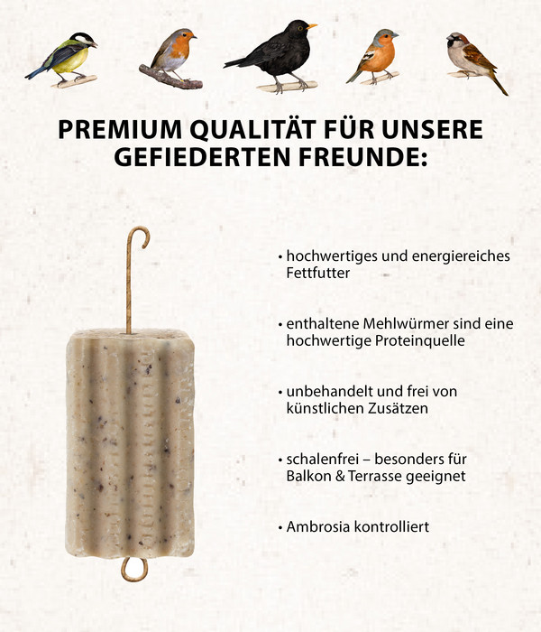 Dehner Natura Premium Wildvogelfutter Gourmet Blocks mit Mehlwürmern, 6 Stk á ca. 90 g