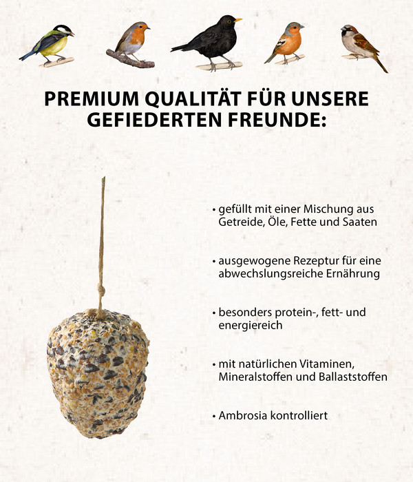 Dehner Natura Riesen-Futter-Zapfen, 330 g