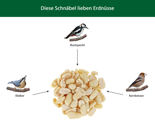 Dehner Natura Wildvogefutter Halbe/Ganze Erdnüsse, 5 l