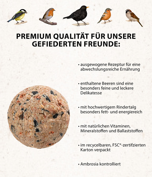 Dehner Natura Wildvogelfutter Beeren-Knödel im Karton, mit Netz, 30 Stk.