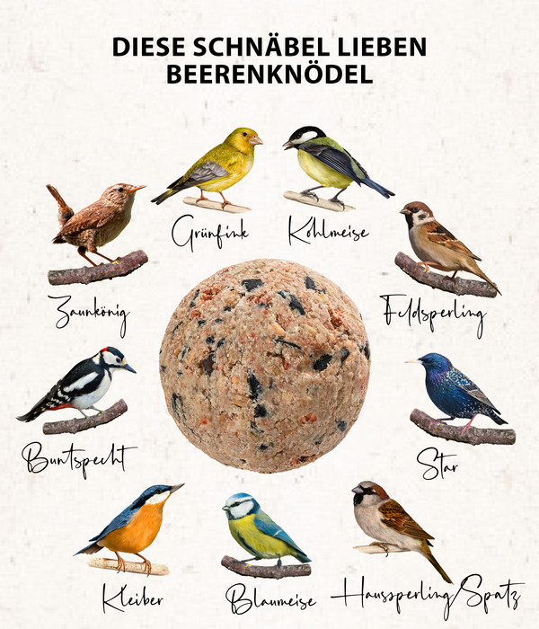 Dehner Natura Wildvogelfutter Beeren-Knödel, mit Netz