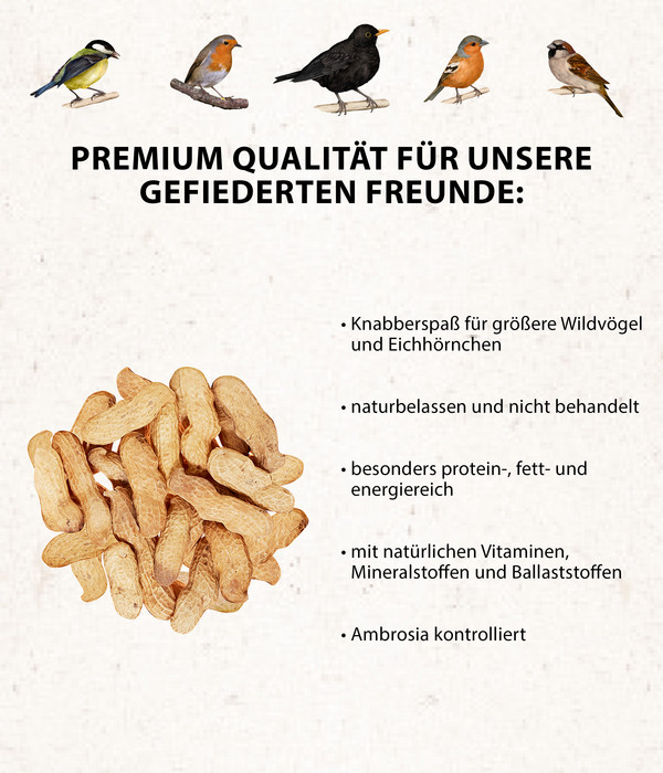 Dehner Natura Wildvogelfutter Erdnüsse in der Schale, 500 g
