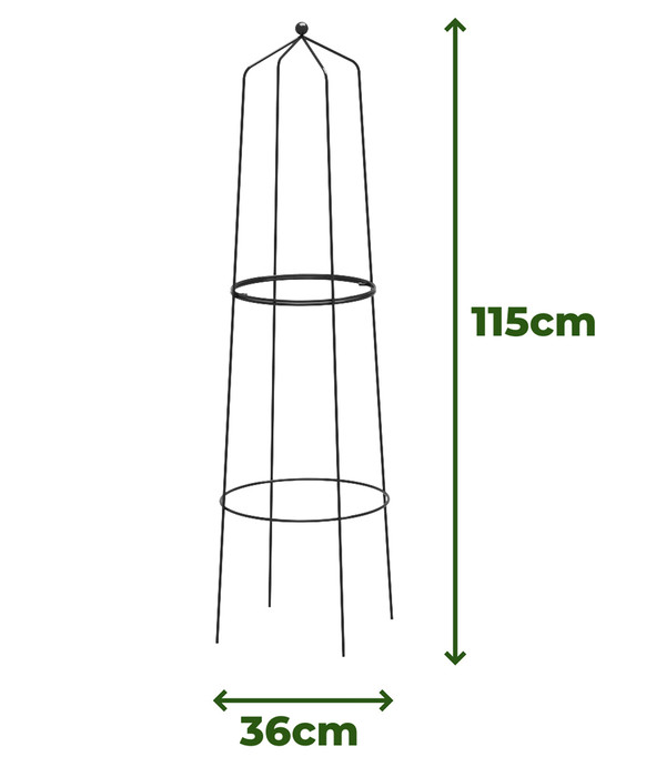 Dehner Obelisk Nova
