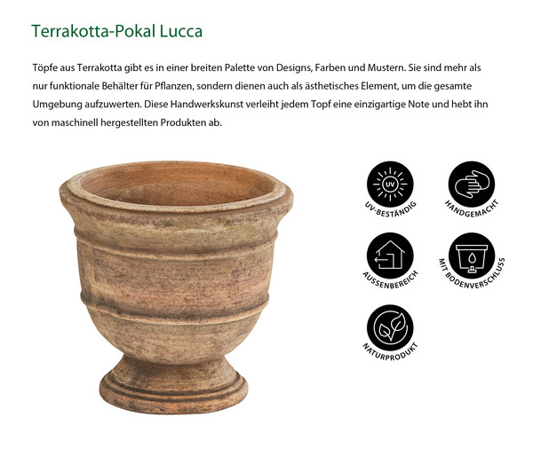 Dehner Terrakotta-Pokal Lucca, rund, mterra, ca. Ø16/H15 cm