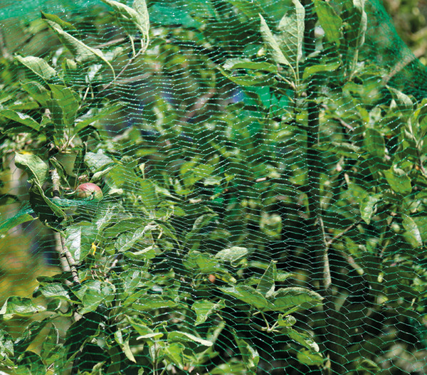 Dehner Vogelschutz-Netz, 5 x 4 m