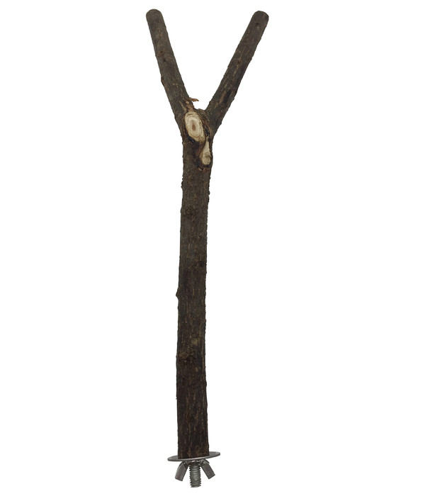 Dehner Vogel-Sitzstange Y, 20 cm