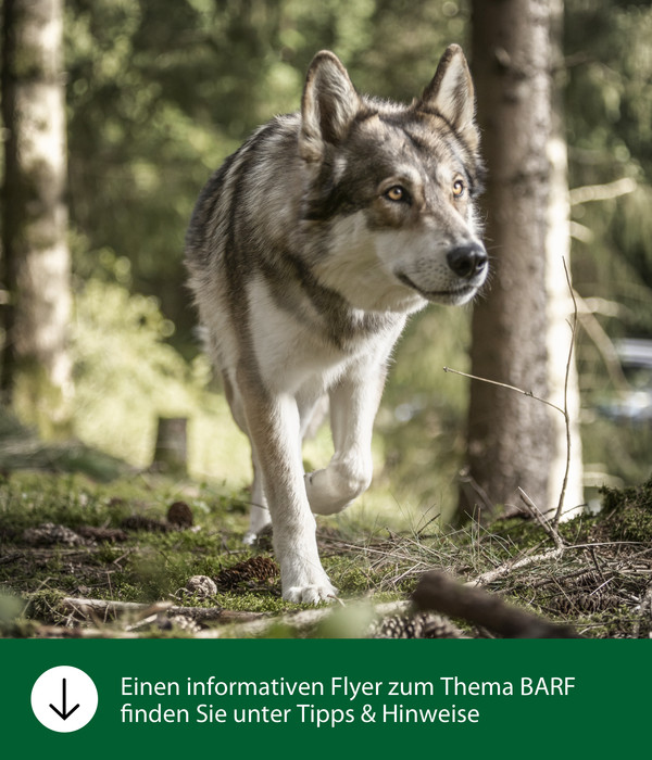 Dehner Wild Nature BARF-Ergänzungsfutter für Hunde Flocken-Mix Kräuter