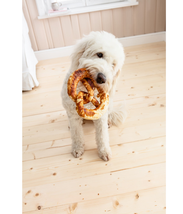 Dehner Lieblinge Hundesnack Hunde-Brezel mit Huhn