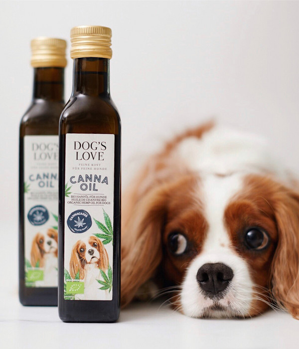 DOG'S LOVE Ergänzungsfutter Canna Bio-Hanföl, 6 x 250 ml