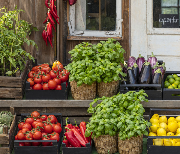 Tomate 'Garance'