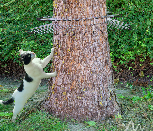 Gardigo Katzen-Abwehrgürtel, 74 cm