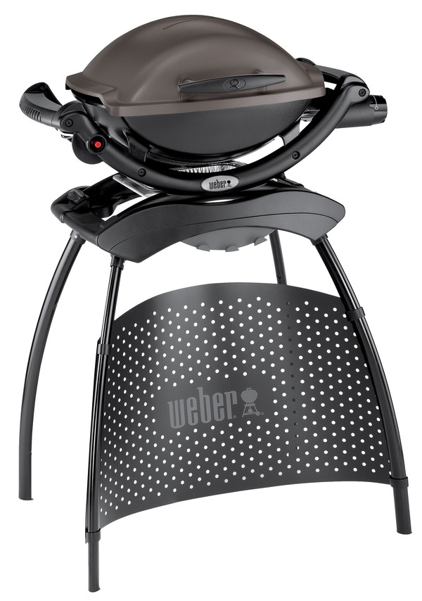 Weber Gasgrill Q 1000, 43 x 32 cm