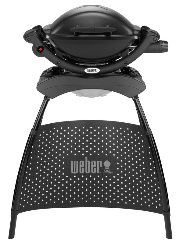 Weber Gasgrill Q 1000, 43 x 32 cm