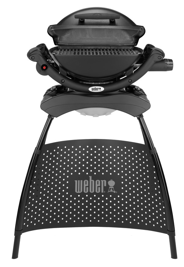 Weber Gasgrill Q 1000, 43 x 32 cm