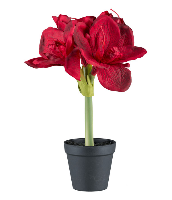 Gasper Kunstpflanze Amaryllis, ca. H32 cm, 2er-Set