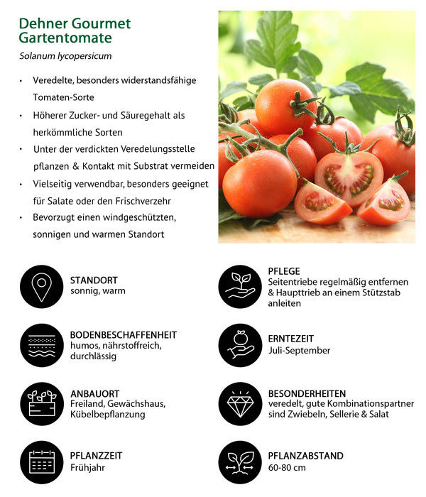 Gemüse-Set Tomatengenuss, 6-teilig