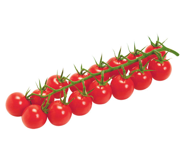 Dehner Gourmet Garten Cherrytomate, veredelt