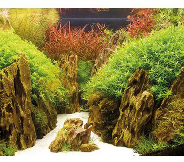 Hobby® Aquarium Rückwand Canyon/Woodland