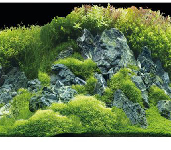 Hobby® Aquarium Rückwand Planted River/Green Rocks
