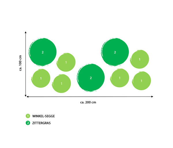 Bodendecker Gräser-Set Grüne Oase, 9-teilig