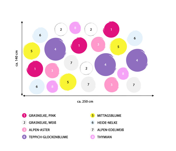 Stauden-Set Großer Alpengarten, 24-teilig