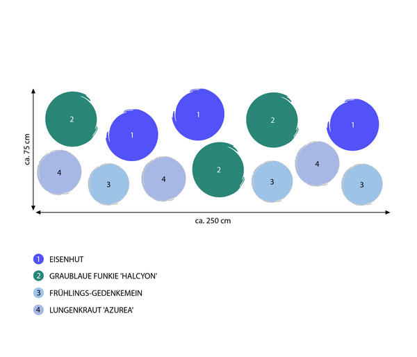 Stauden-Set Schattengarten Blaue Akzente, 12-teilig