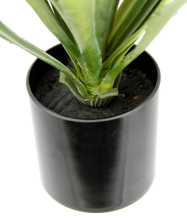I.GE.A Kunstpflanze Agave im Kunststofftopf, ca. H38 cm