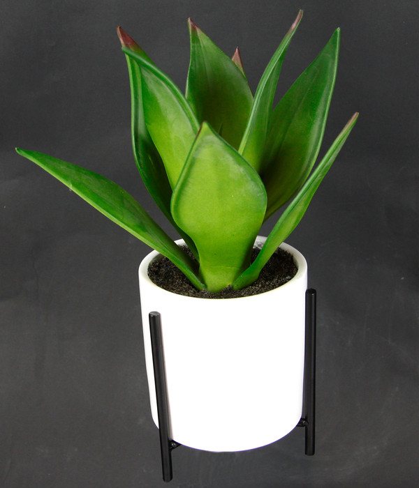 I.GE.A Kunstpflanze Sukkulente im Keramiktopf mit Gestell, ca. H29 cm