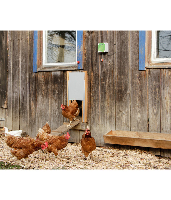 KERBL Hühnerstallzubehör Steuerung für Hühnertüre