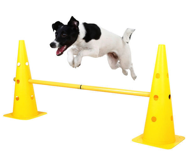 KERBL Hundespielzeug Agility Pylonen-Hürden Set