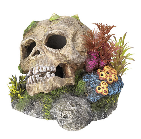 Nobby Aquariumdeko Totenkopf mit Pflanzen, ca. B13,5/H10,5/T13,5 cm