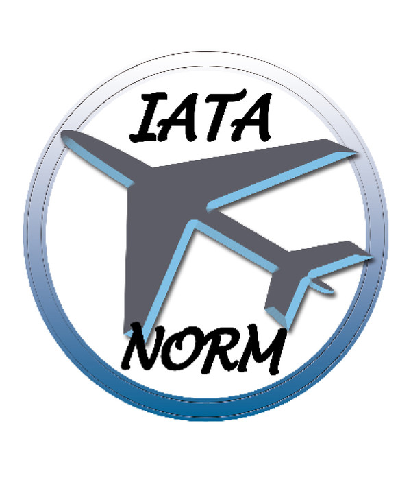Nobby Transportbox Skudo IATA, grau/weiß