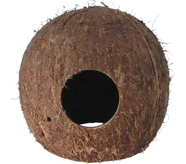 Orbit Kokosnuss Höhle, medium