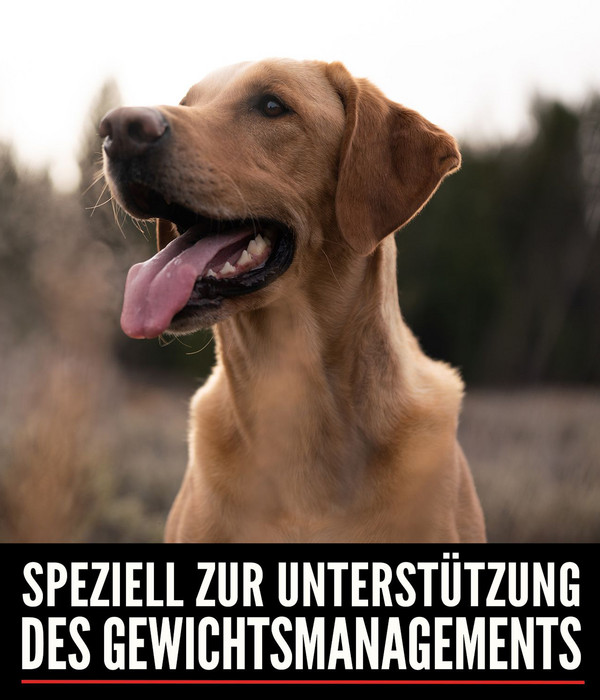 ORIJEN™ Trockenfutter für Hunde Fit & Trim