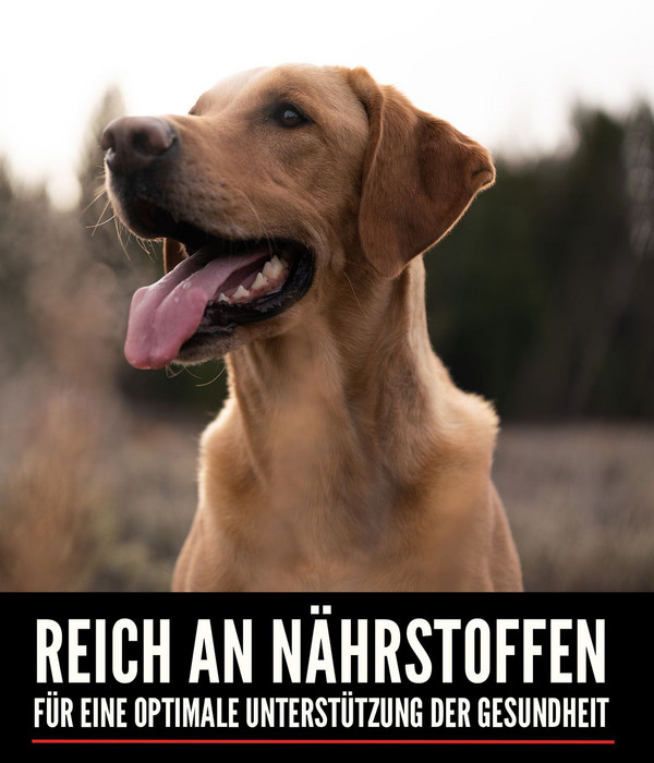 ORIJEN™ Trockenfutter für Hunde Original