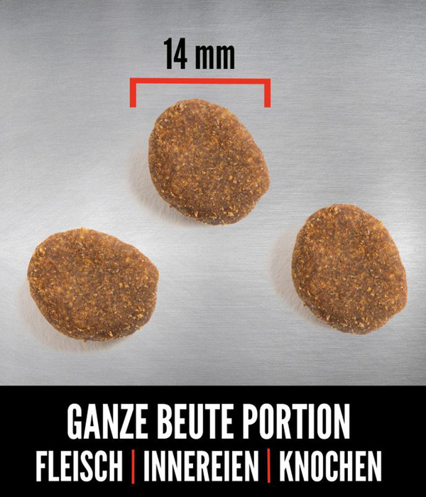 ORIJEN™ Trockenfutter für Hunde Puppy Large