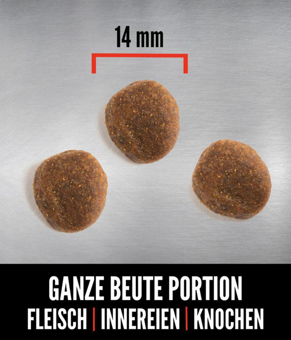 ORIJEN™ Trockenfutter für Hunde Six Fish